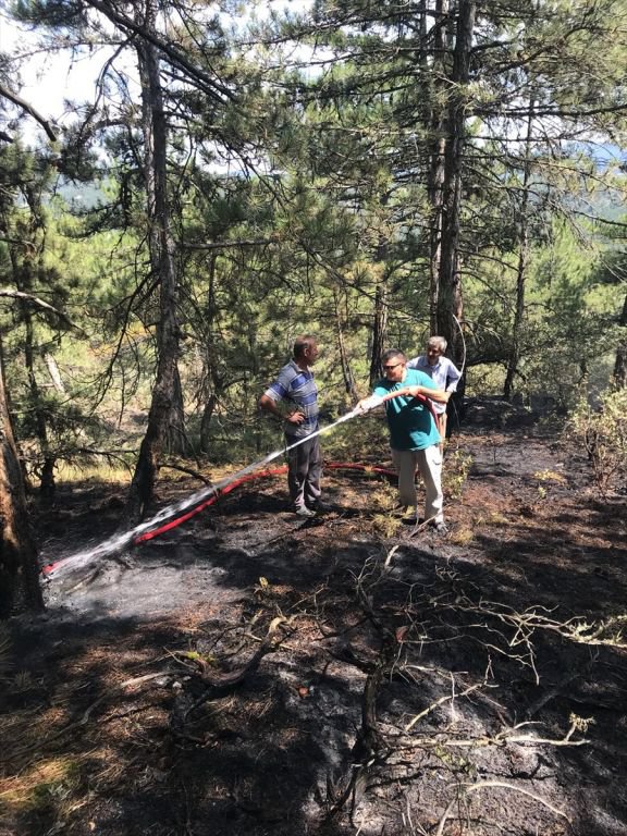 DÜŞEN YILDIRIM METRELERCE ALANI YAKTI