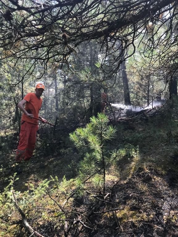 DÜŞEN YILDIRIM METRELERCE ALANI YAKTI