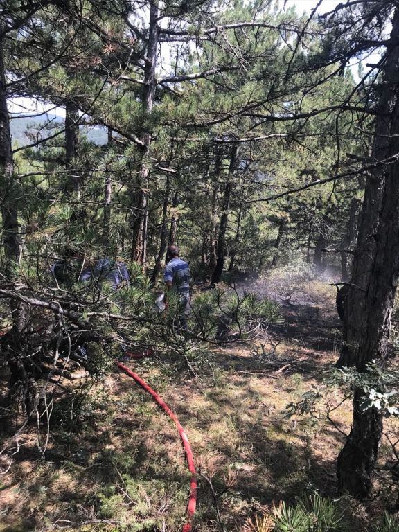 DÜŞEN YILDIRIM METRELERCE ALANI YAKTI