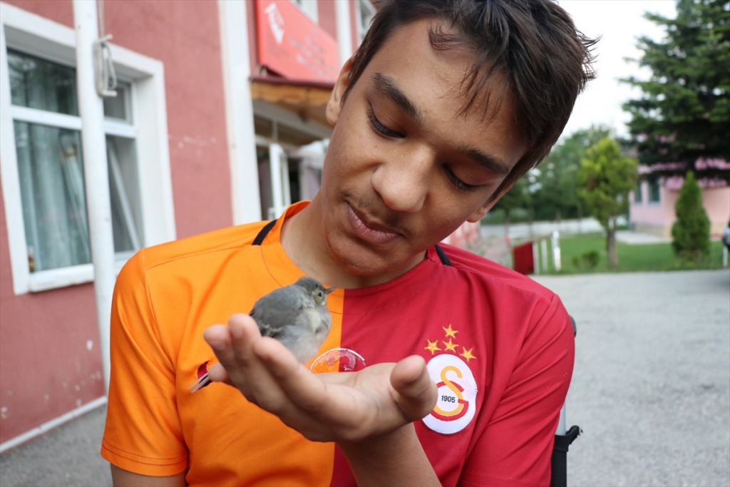 EN YAKIN ARKADAŞI YARALI KUŞU OLDU