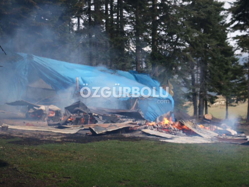 EV ALEV ALEV YANDI, HAYVANLAR SON ANDA KURTARILDI