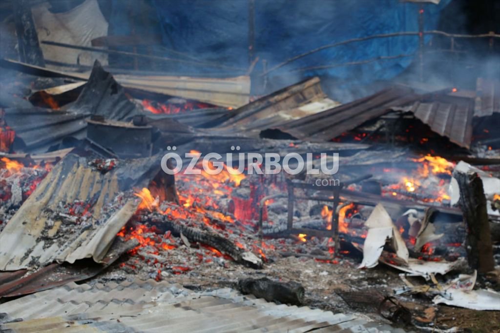 EV ALEV ALEV YANDI, HAYVANLAR SON ANDA KURTARILDI