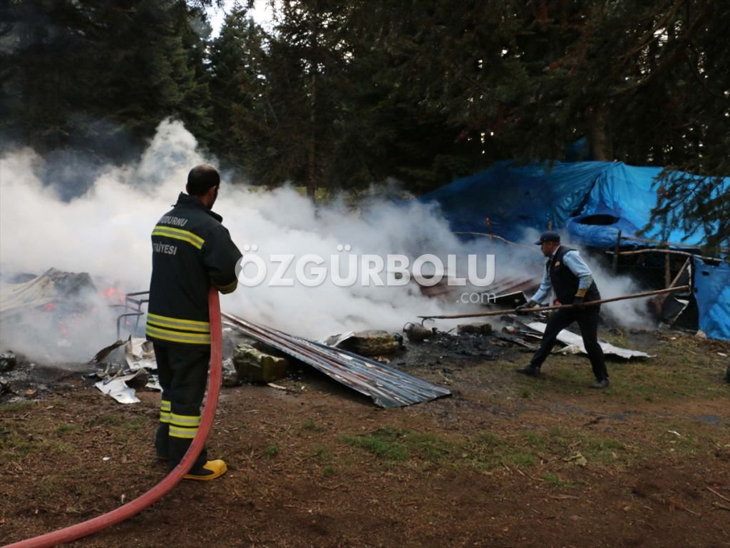 EV ALEV ALEV YANDI, HAYVANLAR SON ANDA KURTARILDI