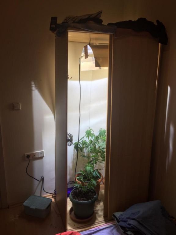 EVE HİNT KENEVİRİ OPERASYONU