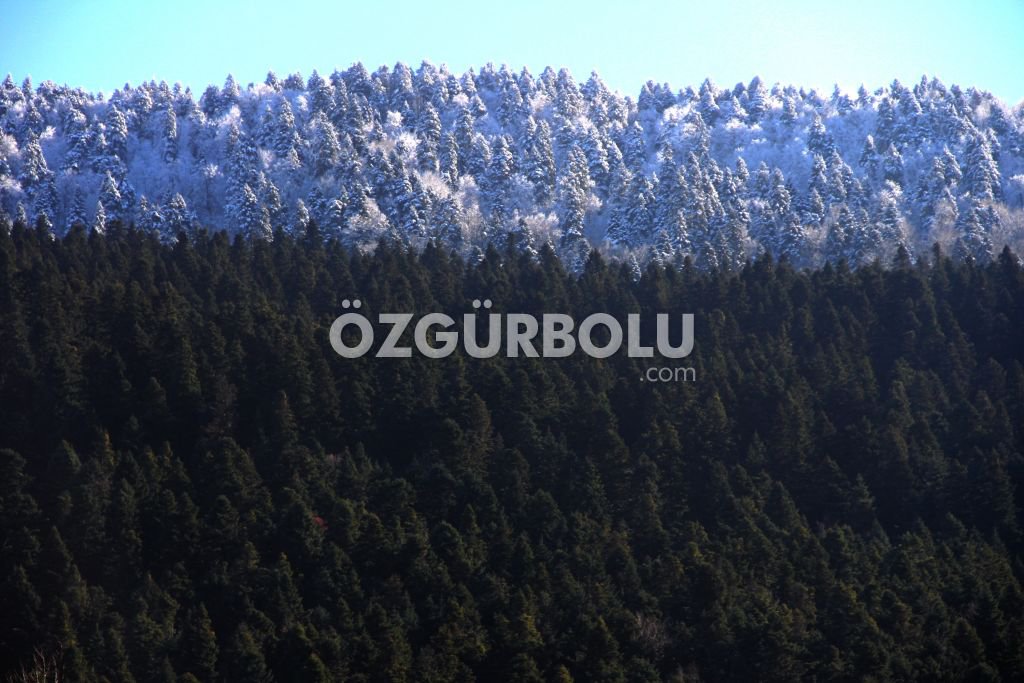 GÜNEŞİ GÖREN GÖLCÜK'E KOŞTU...