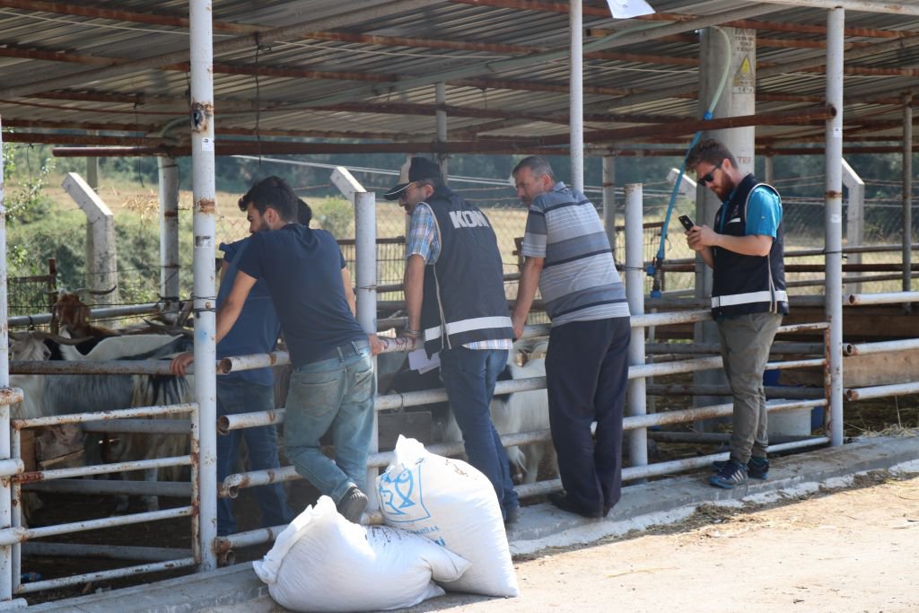 HAYVAN PAZARINDA SAHTE PARA DENETİMİ