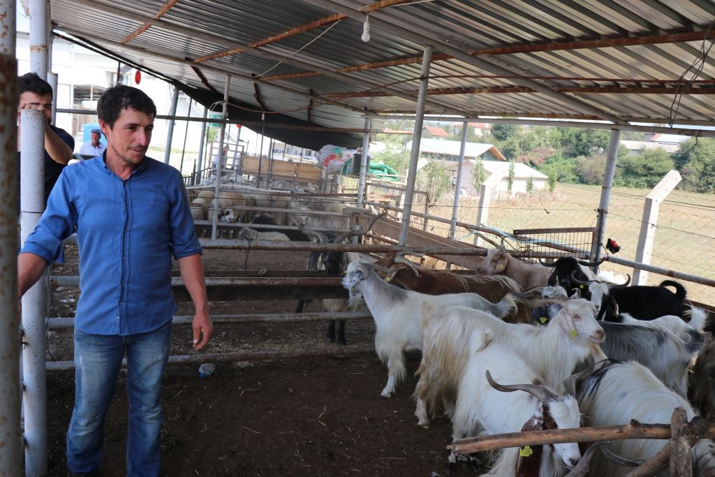 HAYVAN PAZARINDA SAHTE PARA DENETİMİ