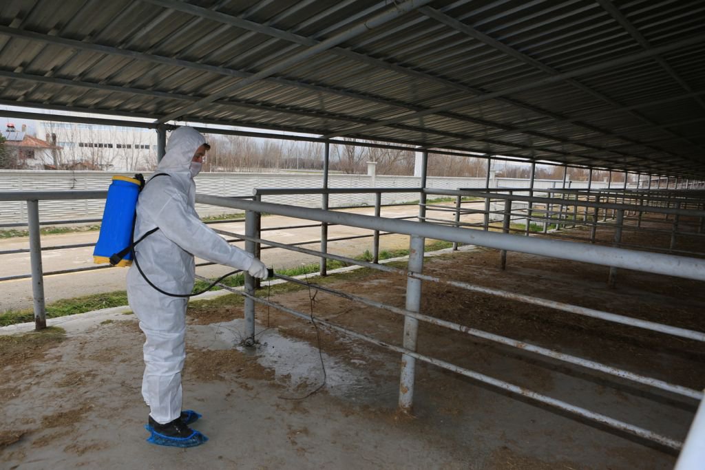 HAYVAN PAZARLARI KAPATILDI