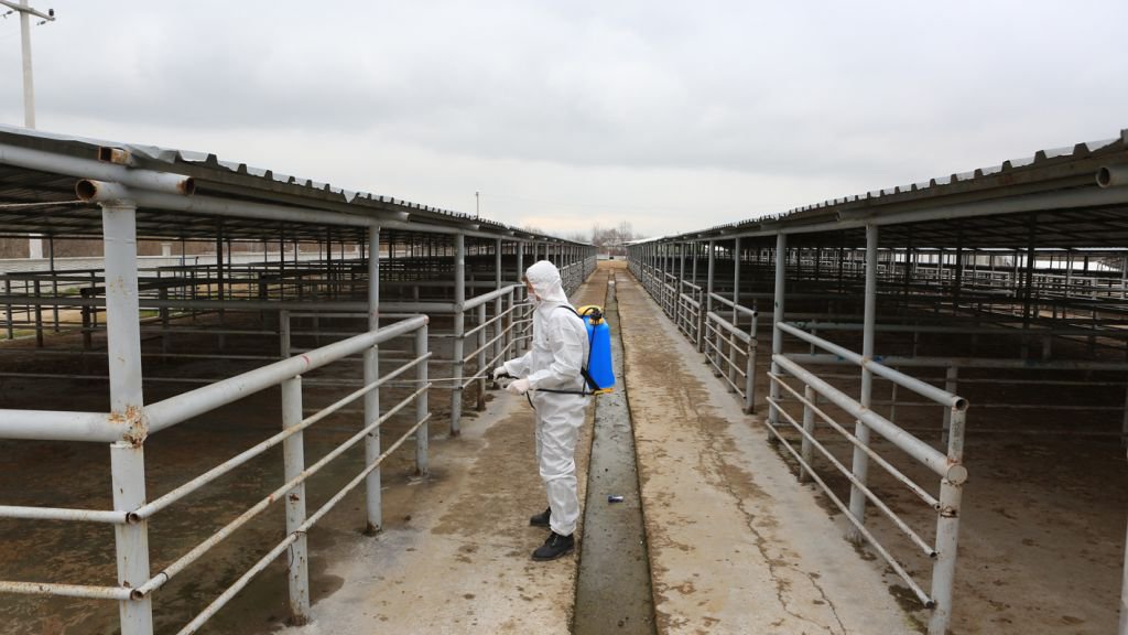 HAYVAN PAZARLARI KAPATILDI