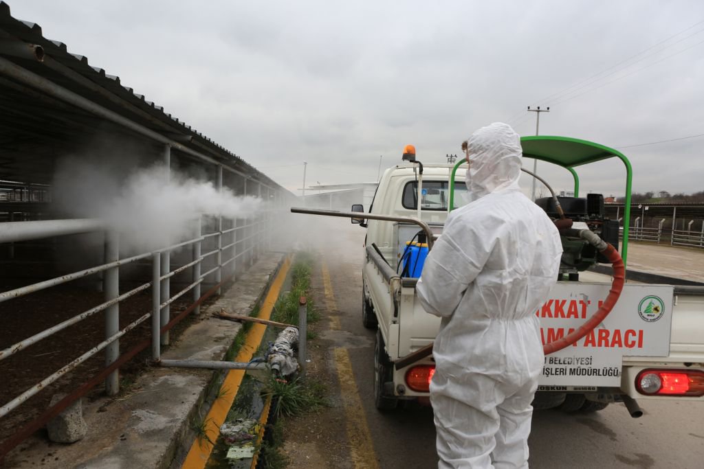 HAYVAN PAZARLARI KAPATILDI