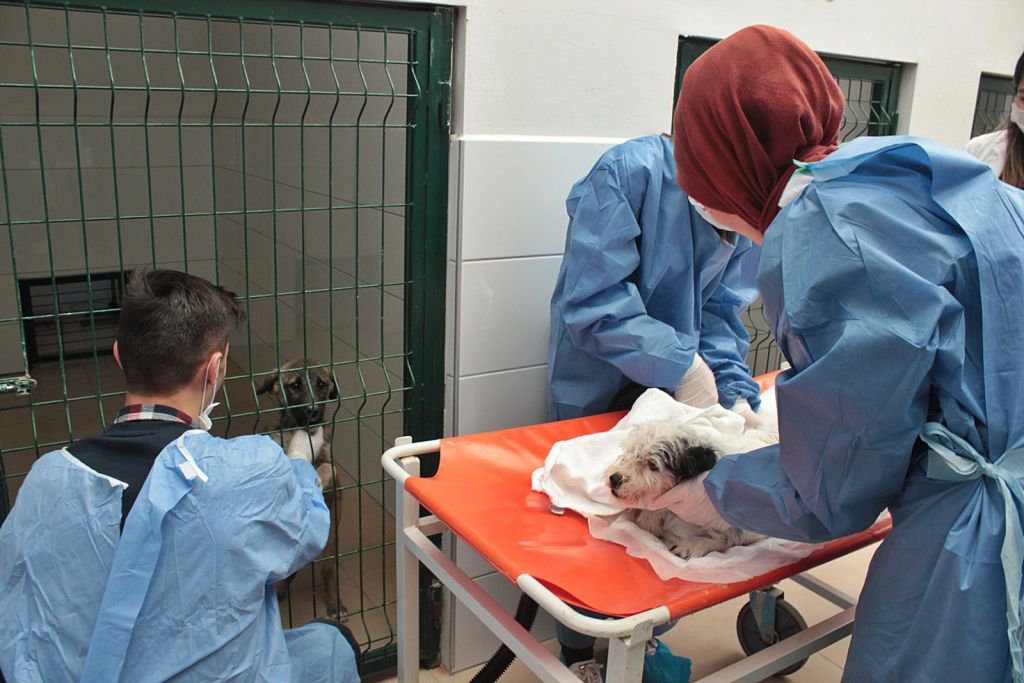 HAYVAN SEVGİSİ PROJESİ BÜYÜYOR