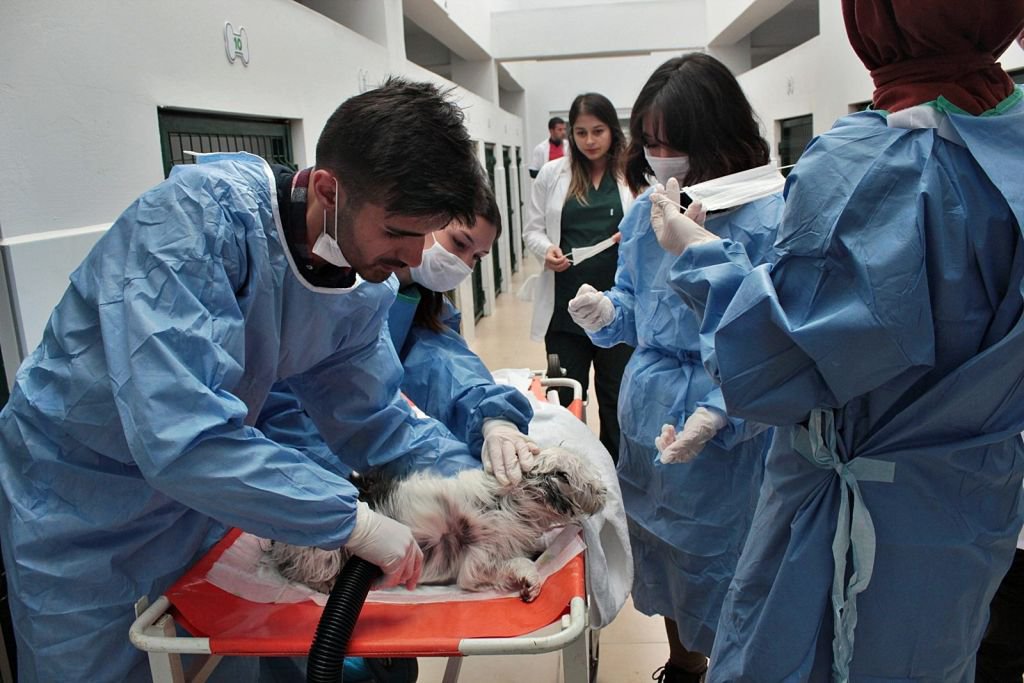 HAYVAN SEVGİSİ PROJESİ BÜYÜYOR