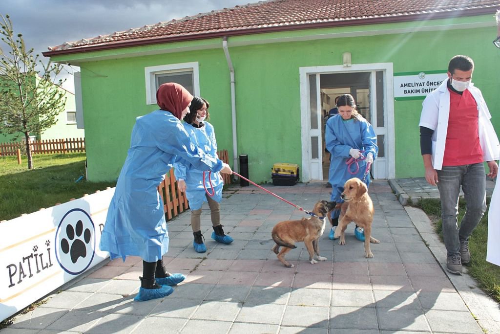 HAYVAN SEVGİSİ PROJESİ BÜYÜYOR