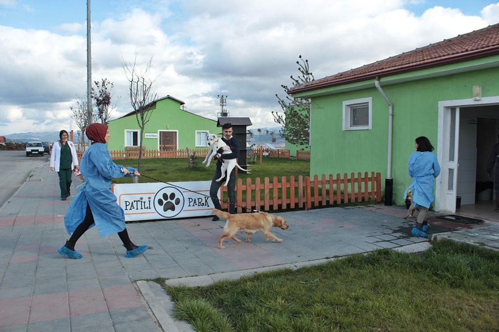 HAYVAN SEVGİSİ PROJESİ BÜYÜYOR