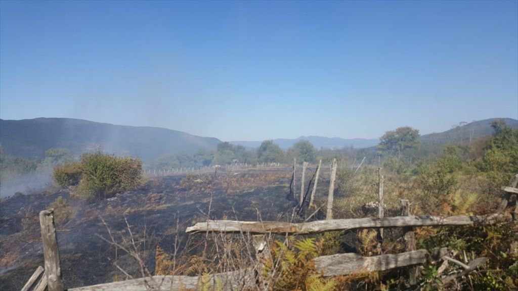 İKİ İLÇEDE PEŞ PEŞE ORMAN YANGINI