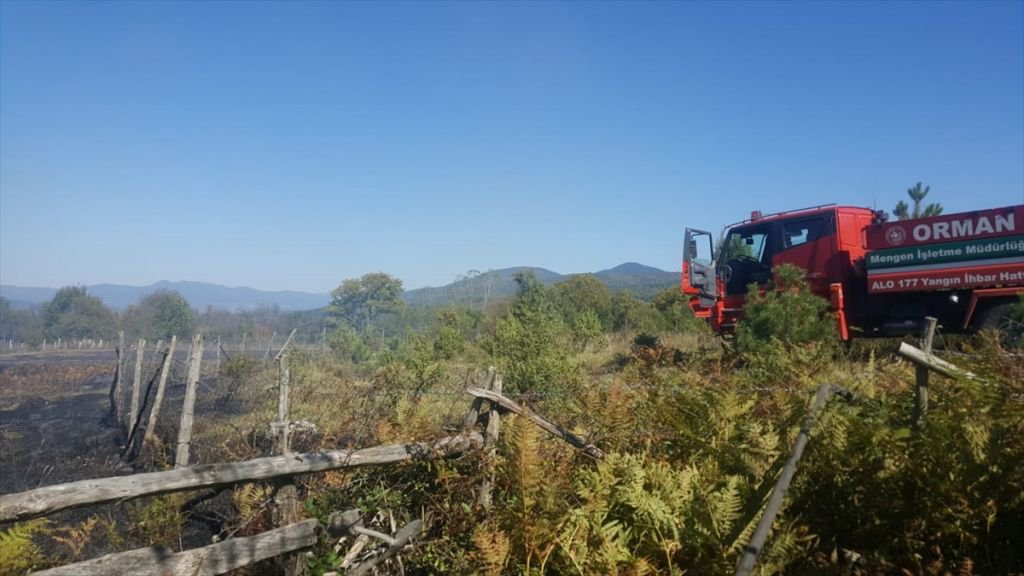 İKİ İLÇEDE PEŞ PEŞE ORMAN YANGINI