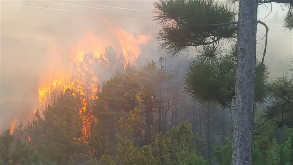 İKİ İLÇEDE PEŞ PEŞE ORMAN YANGINI