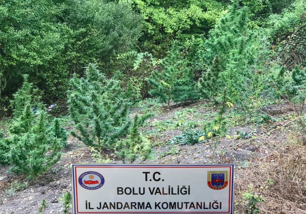 JANDARMADAN UYUŞTURUCU OPERASYONU