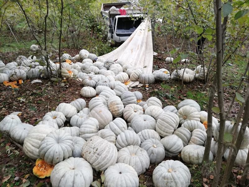 KABAK YÜKLÜ KAMYON TIRLA ÇARPIŞTI
