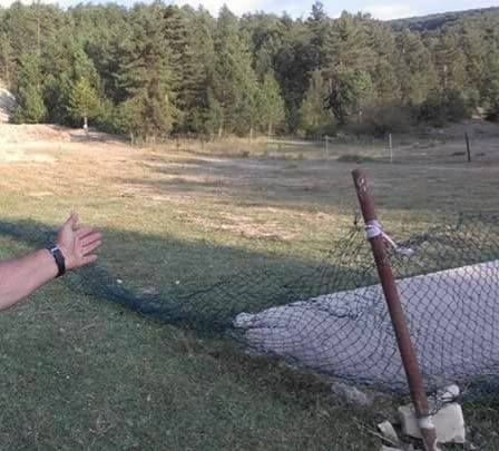 MAGANDALAR İŞ BAŞINDA