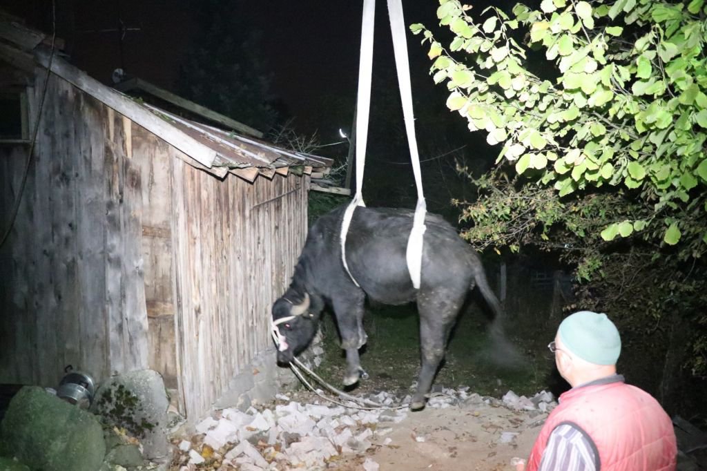 MANDA ÇATIYA ÇIKTI, EKİPLER SEFERBER OLDU