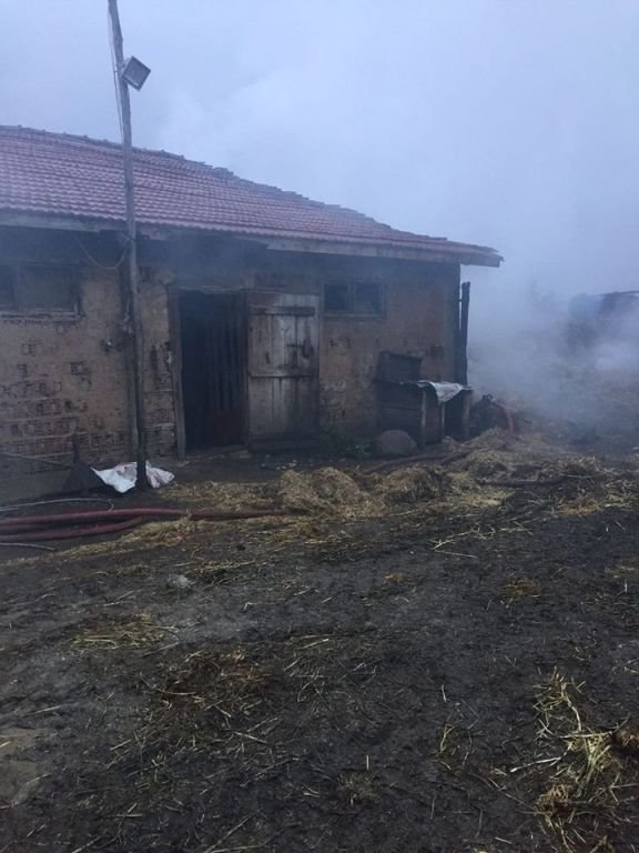 NE VARSA KÜLE DÖNDÜ