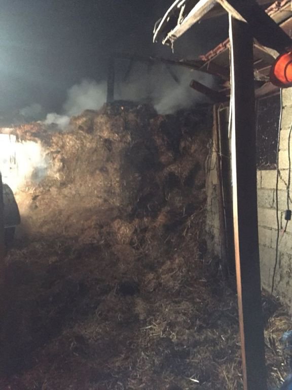 NE VARSA KÜLE DÖNDÜ