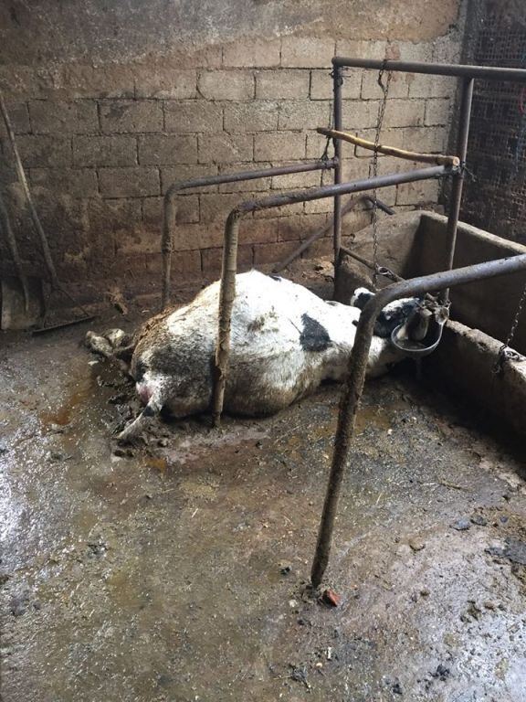 NE VARSA KÜLE DÖNDÜ