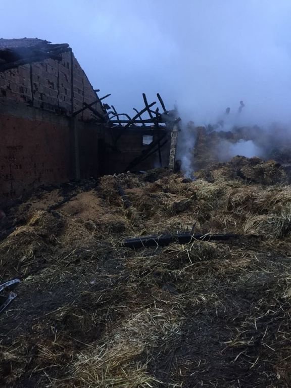 NE VARSA KÜLE DÖNDÜ