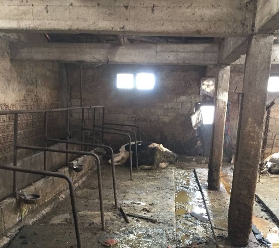 NE VARSA KÜLE DÖNDÜ