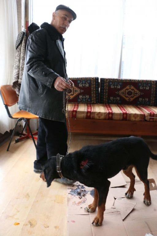 ORMANA GİDEN KÖPEKLER SALDIRYA UĞRADI