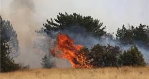 PEŞ PEŞE ORMAN YANGINLARI