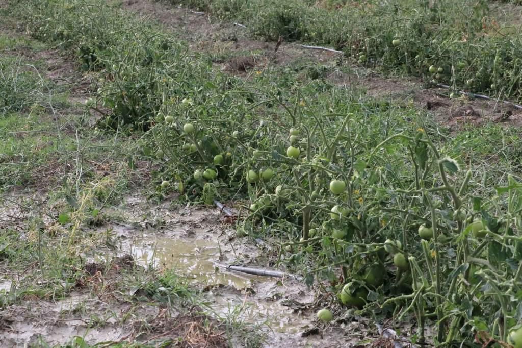 SEBEN'DE SEL FELAKETİ