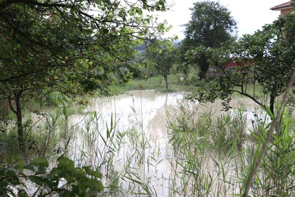 SEBEN'DE SEL FELAKETİ