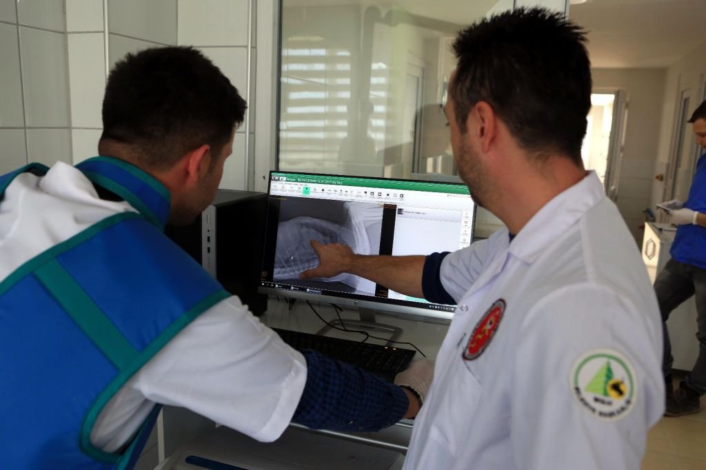 SOKAĞA ATILAN KÖPEĞİ SAHİPLENDİ