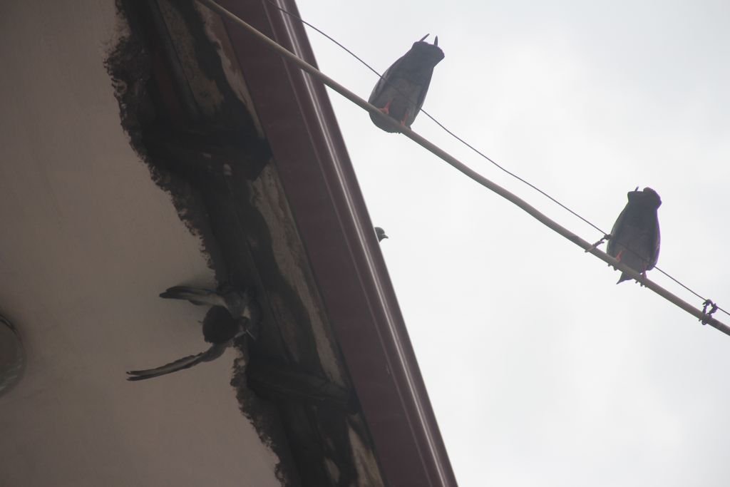 KURTULDU DERKEN YEM OLDU