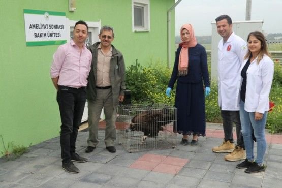 TEDAVİSİNİ YAPIP DOĞAYA SALDILAR