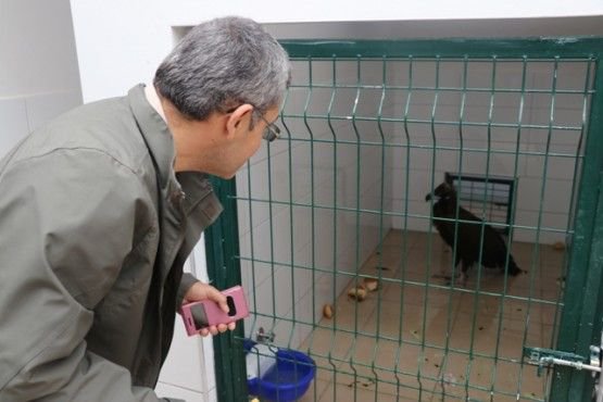 TEDAVİSİNİ YAPIP DOĞAYA SALDILAR