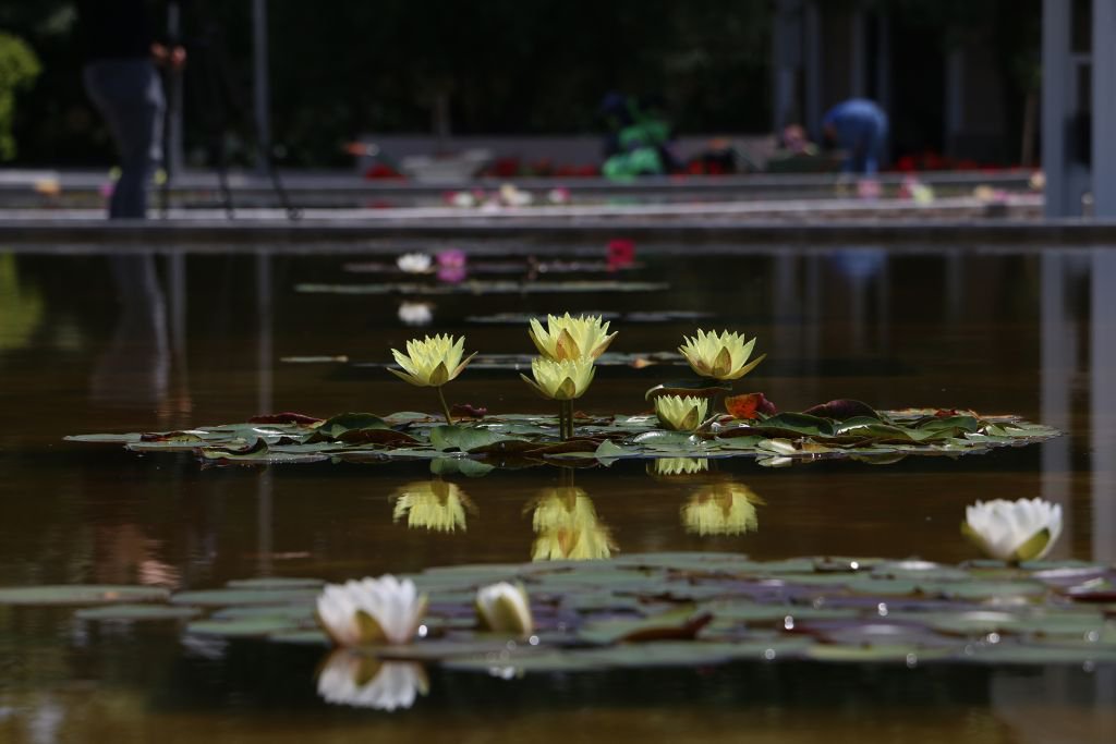 ULUSAL BASINDAN NİLÜFER PARKINA BÜYÜK İLGİ
