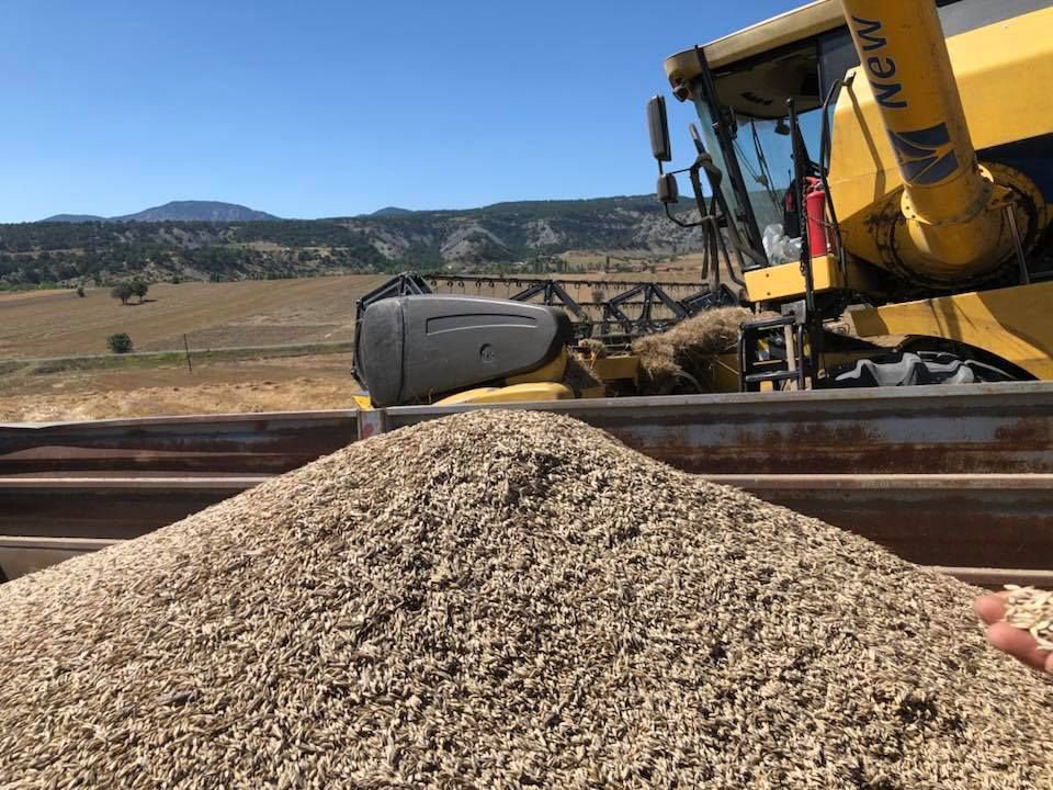 ÜRETİMİNİ YAPACAĞIZ