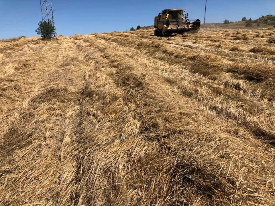 ÜRETİMİNİ YAPACAĞIZ