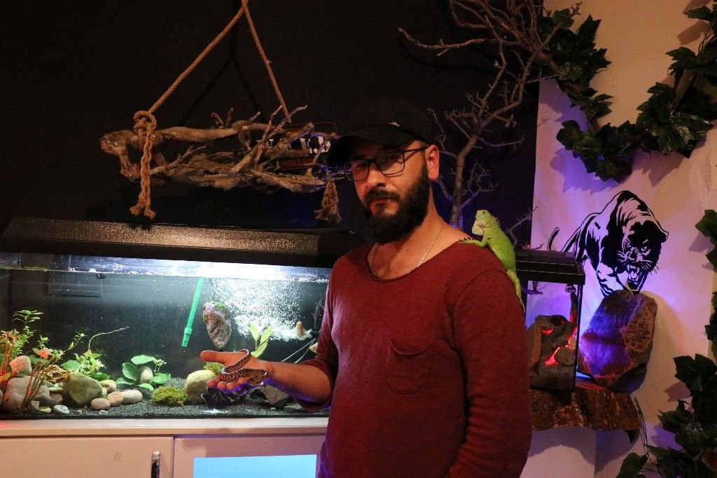 VAHŞİ HAYVANLARI OFİSİNDE BESLİYOR