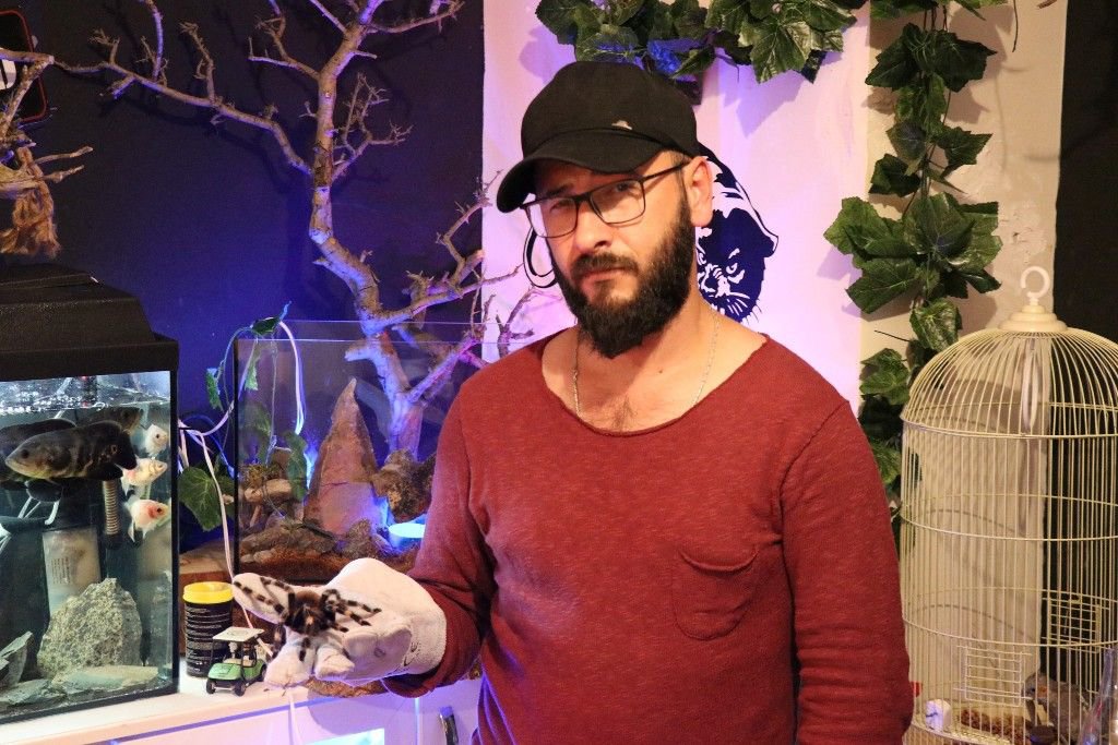 VAHŞİ HAYVANLARI OFİSİNDE BESLİYOR