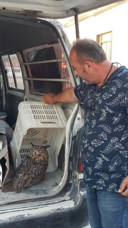 YARALI KUŞU 150 KM BOYUNCA TAŞIDI