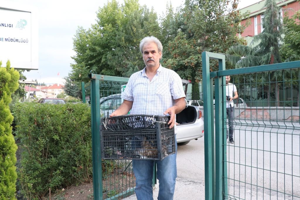 YARALI KUŞU, İŞÇİLER KURTARDI