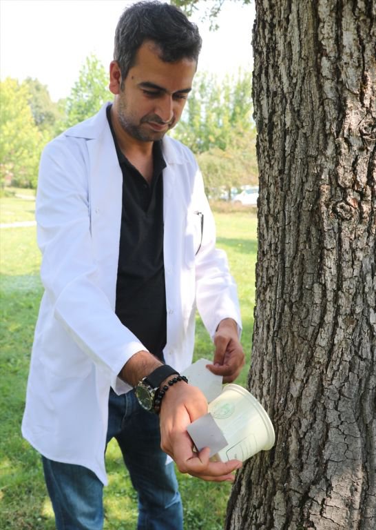 HAŞERELERE KARŞI AVCI BÖCEK ÖNLEMİ