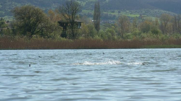 YENİÇAĞA KUŞ CENNETİ YAZA HAZIRLANIYOR