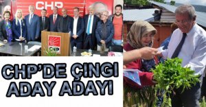 CHP'DE RESMİ İLK ADAY ADAYI ÇINGI