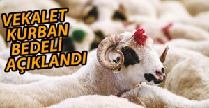 DİYANET KURBAN KESİM FİYATLARINI AÇIKLADI