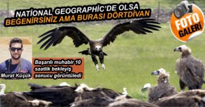 DÜNYA'NIN HER YERİNDEN ZİYARETÇİSİ VAR